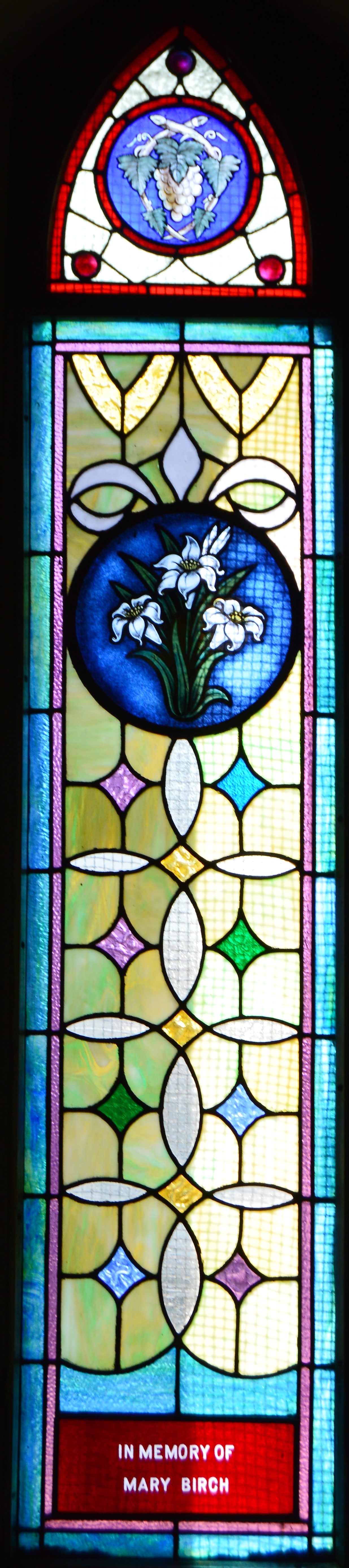 Birch Window